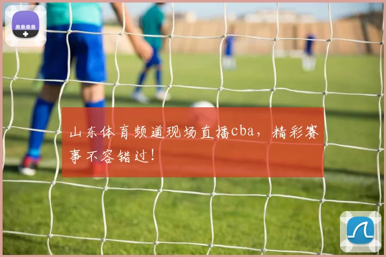 山东体育频道现场直播cba，精彩赛事不容错过！