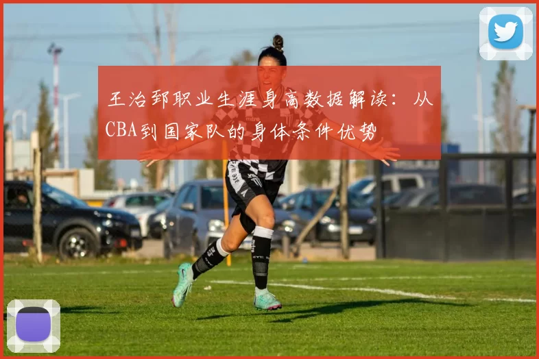 王治郅职业生涯身高数据解读：从CBA到国家队的身体条件优势