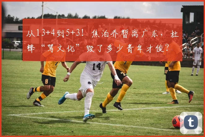 从13+4到5+3！焦泊乔暂离广东，杜锋“骂文化”毁了多少青年才俊？