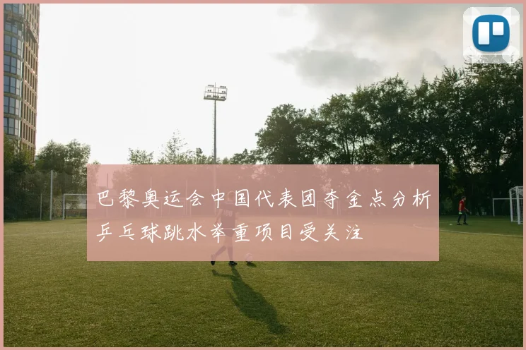 巴黎奥运会中国代表团夺金点分析乒乓球跳水举重项目受关注