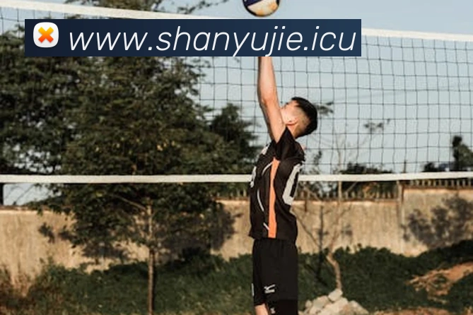 mksports官网登录服务体系